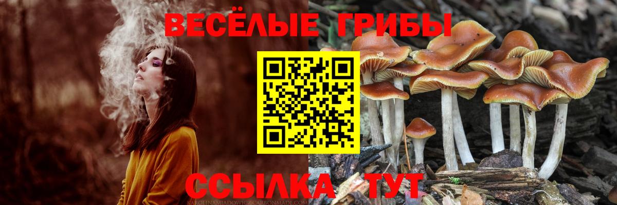 Псилоцибиновые грибы ЛСД Йошкар-Ола