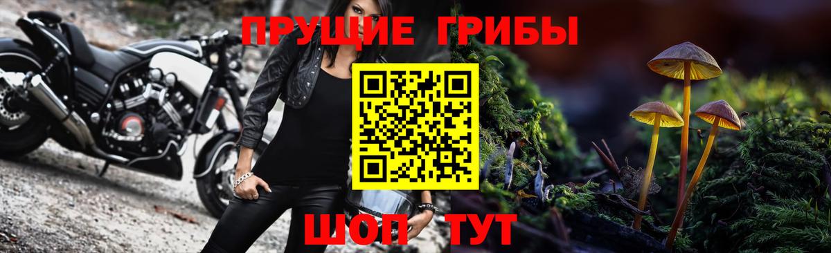 Йошкар-Ола  Галлюциногенные грибы мицелий  купить наркотик  Вход с VPN 